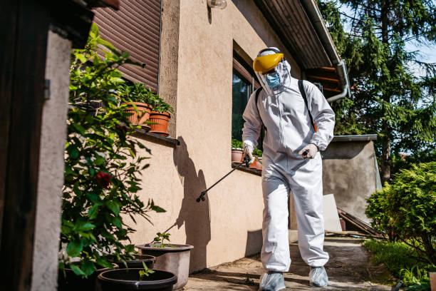 Best Local Pest Control Services  in Mercedes, TX