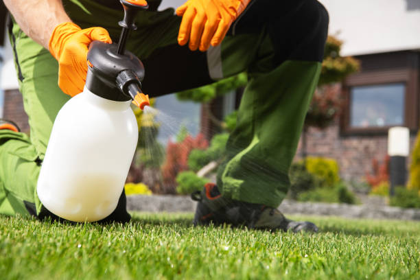 Professional Pest Control in Mercedes, TX