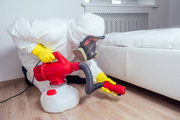 Best Insect Control  in Mercedes, TX