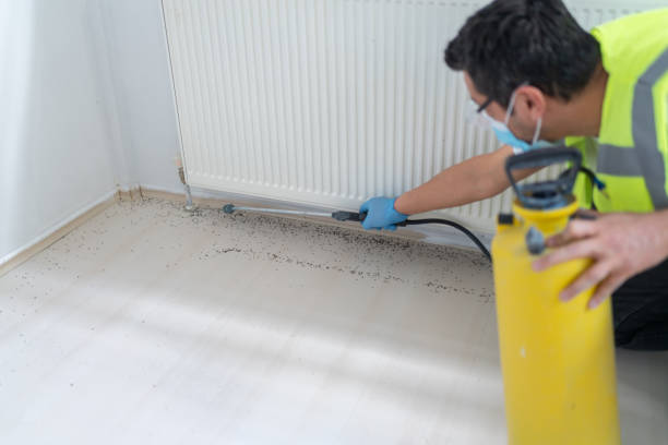 Best Pest Inspection Near Me  in Mercedes, TX